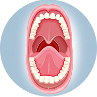 пластика уздечки губ и языка